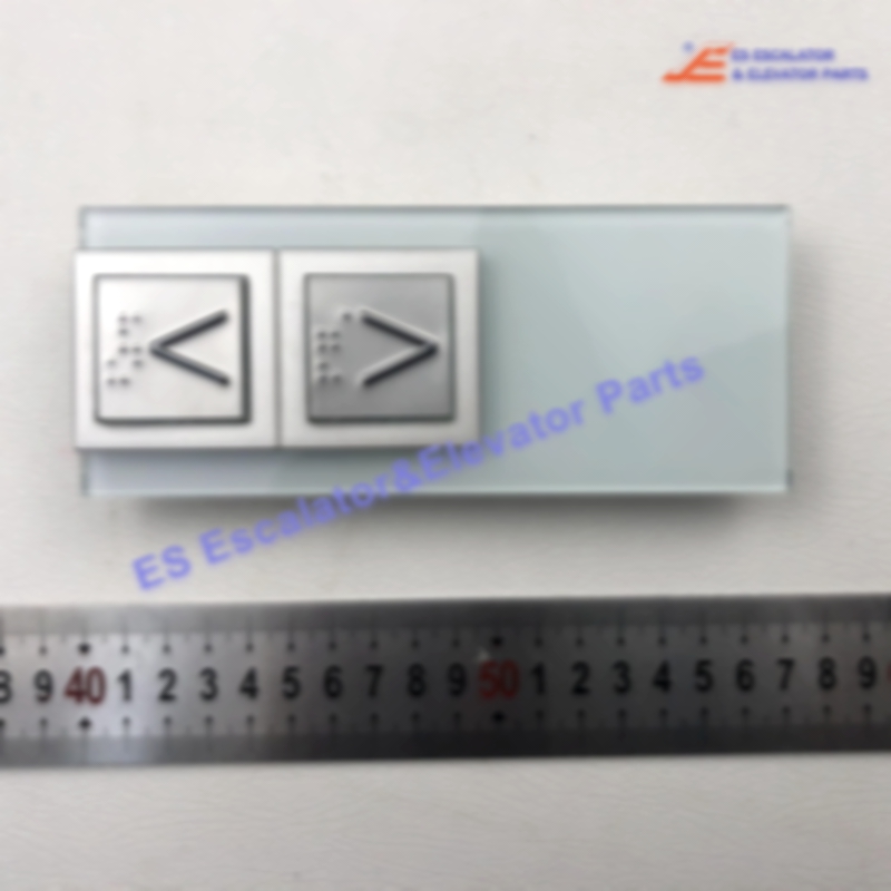 55518812 Elevator Call Panel 2 Buttons
