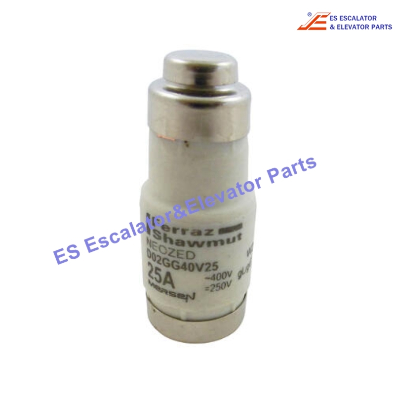 D02GG40V25 Elevator Fuse 25A Use For Other
